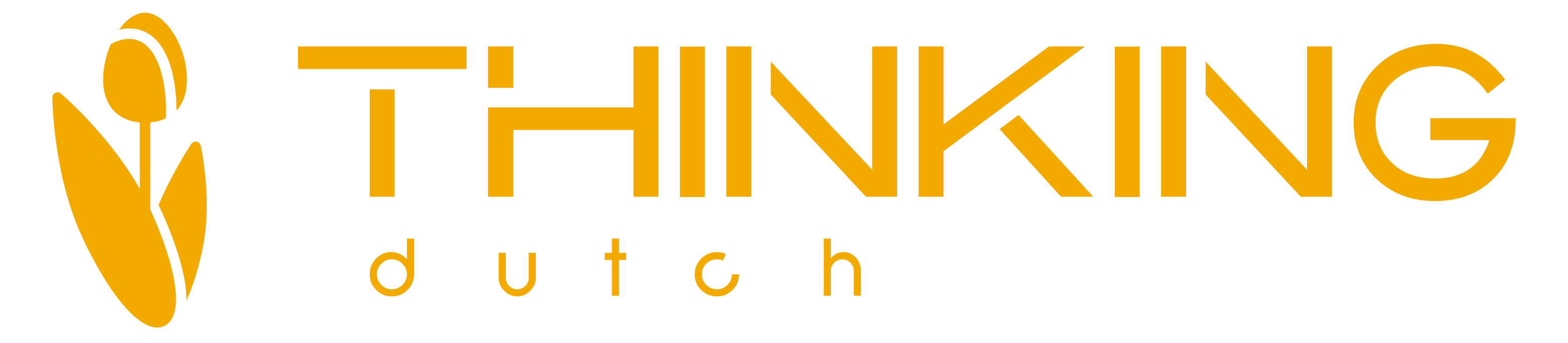 logo Thinking Dutch